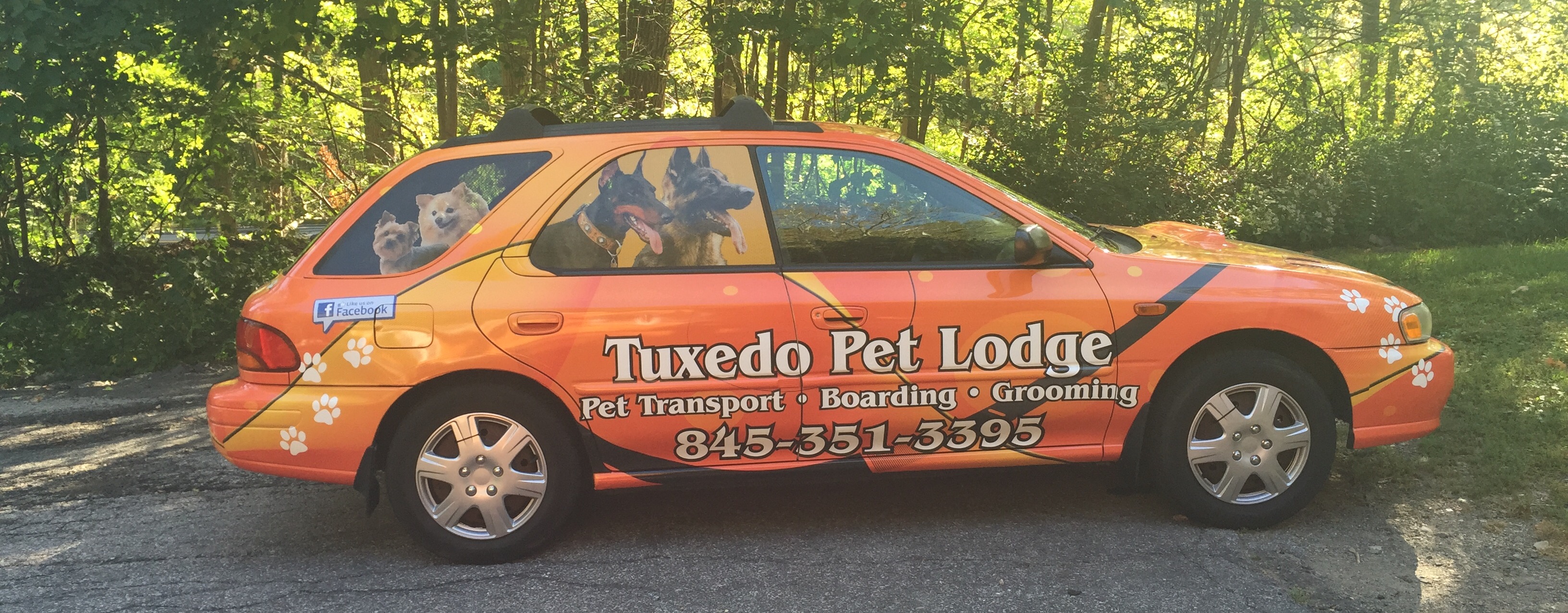 Pet Transport Services